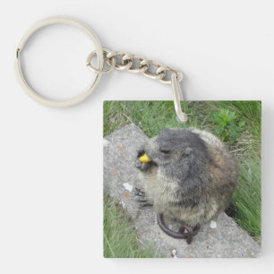 Marmot-Schlüsselkette Schlüsselanhänger