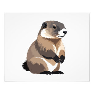 Marmot Vector Graphic Art Portrait Animal Spirit Fotodruck
