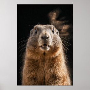 Marmot Wild Animal Elegantes Dramatisches Nebelpor Poster
