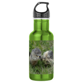 Marmots Edelstahlflasche