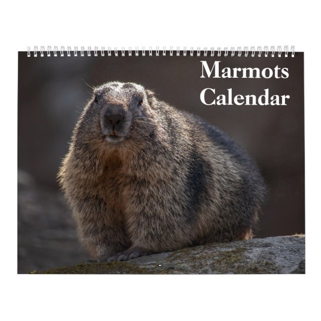 Marmots-Kalender 2025 Kalender (Titelbild)