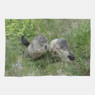 Marmots Küchentücher