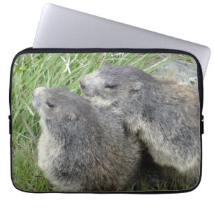 Marmots-Laptop-Ärmel Laptopschutzhülle