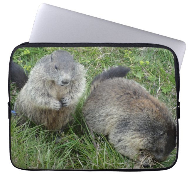 Marmots-Laptop-Ärmel Laptopschutzhülle (Vorderseite)