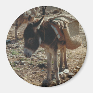 Marokkanischer Mule Magnet