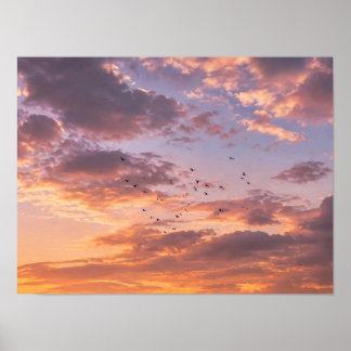 Marokkanischer Olivenhain-Sonnenuntergang - Rosa g Poster