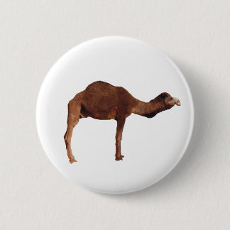 Marokkanisches Kamel-Knopf-Button-Abzeichen Button