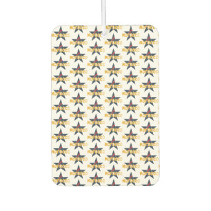 Marokko: Star des Erbes und der Modernität Autolufterfrischer