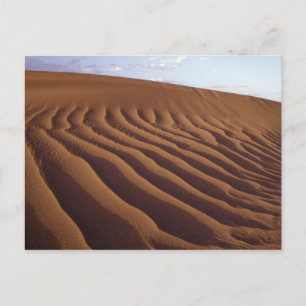 Marokko, Tinfou bei Zagora), Sanddünen, Postkarte