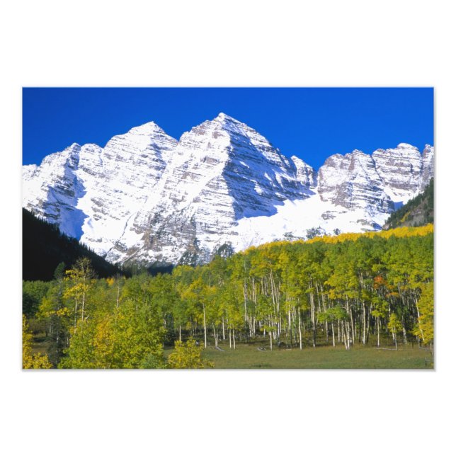 Maroon Bells mit Herbstaspenwald. Fotodruck (Vorne)