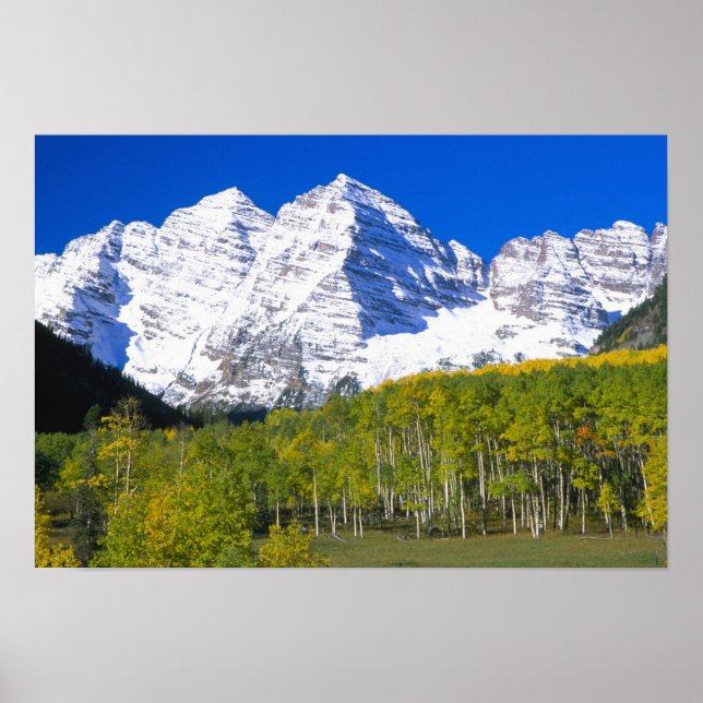 Maroon Bells mit Herbstaspenwald. Poster (Vorne)