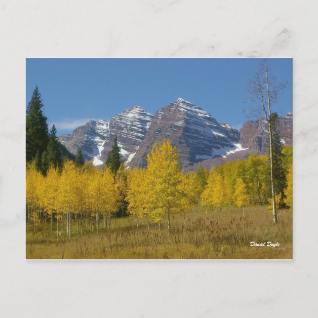 Maroon Bells Series #4, Herbstreflektion. Postkarte (Vorderseite)