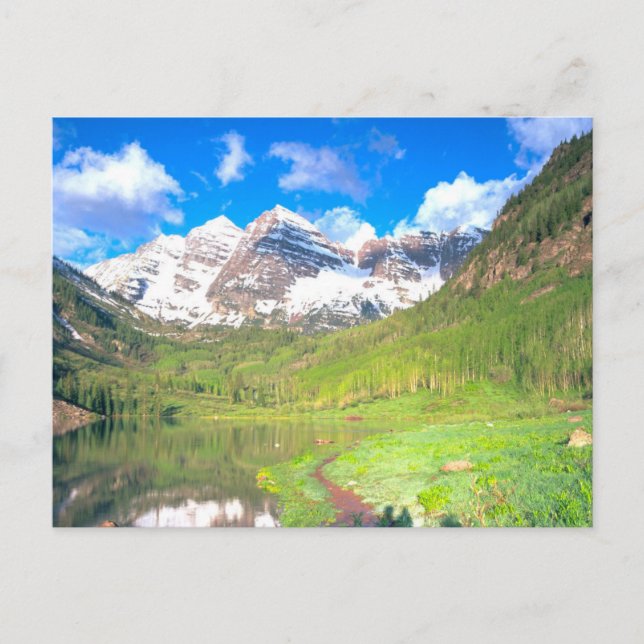 Maroon Bells Summer Meadow Postkarte (Vorderseite)