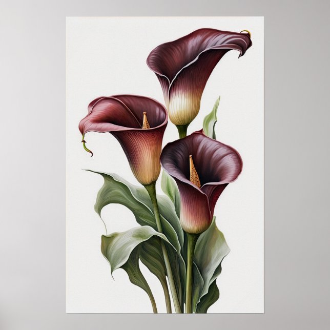 Maroon Calla Lilies Lily Blume Poster (Vorne)