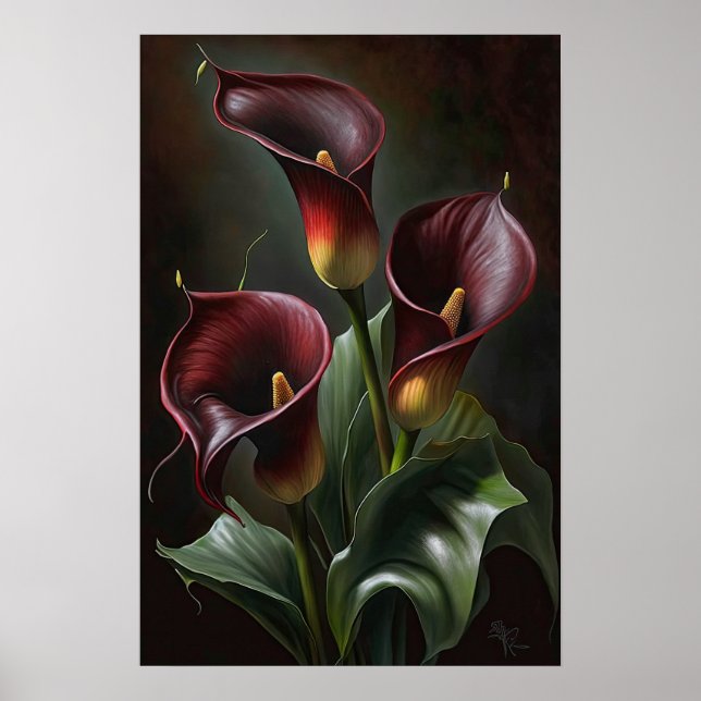 Maroon Calla Lilies Lily Blume Poster (Vorne)
