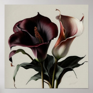 Maroon Calla Lilies Lily Blume Poster