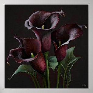 Maroon Calla Lilies Lily Blume Poster
