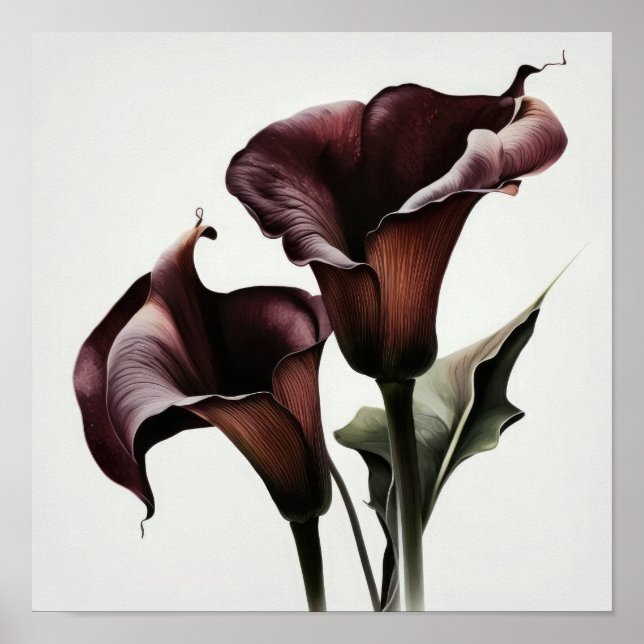 Maroon Calla Lilies Lily Blume Poster (Vorne)