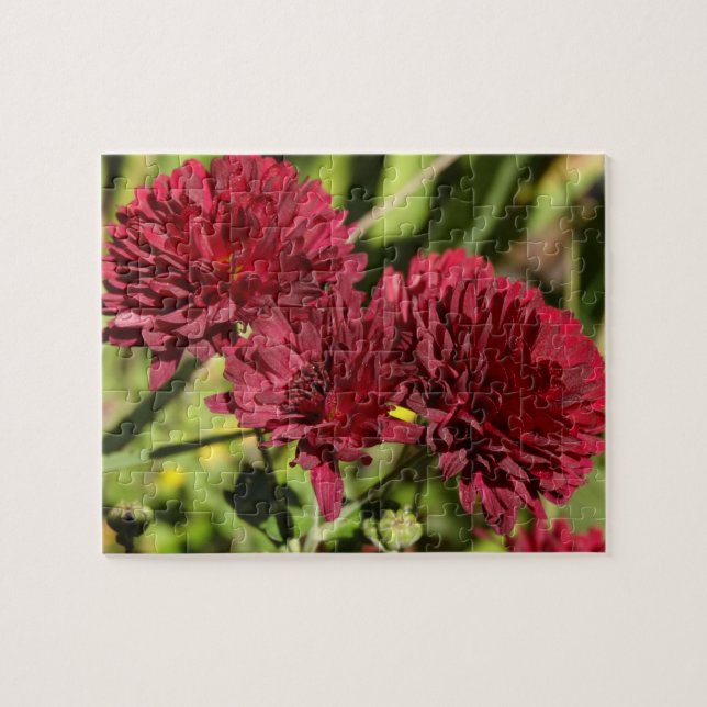 Maroon Chrysanthemums Puzzle (Horizontal)