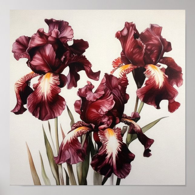 Maroon Iris Blume Art Print Poster (Vorne)