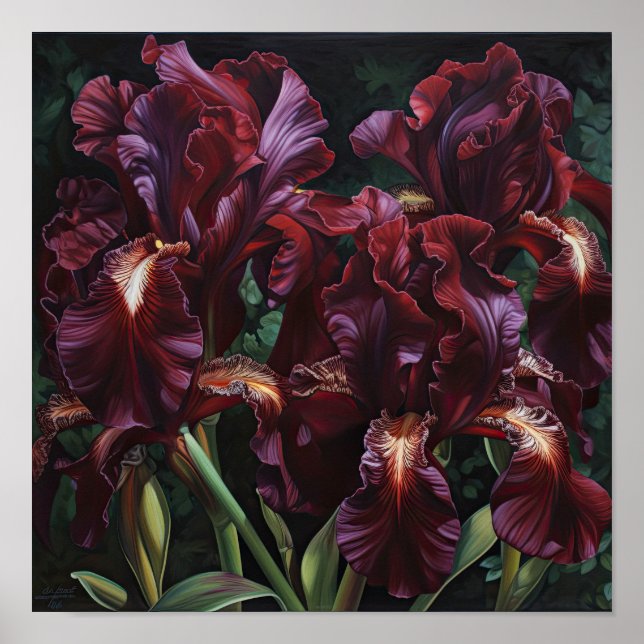 Maroon Iris Blume Art Print Poster (Vorne)