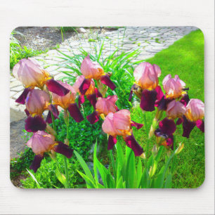 Maroon Iris Blume Mousepad