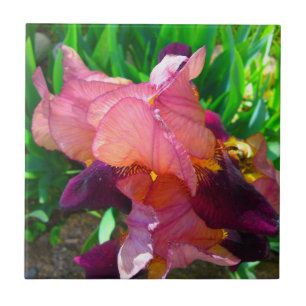 Maroon Iris Blume Patch Fliese