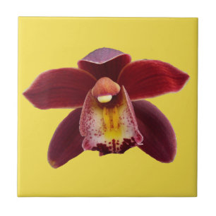 Maroon Orchids I Beautiful Red Floral Fliese