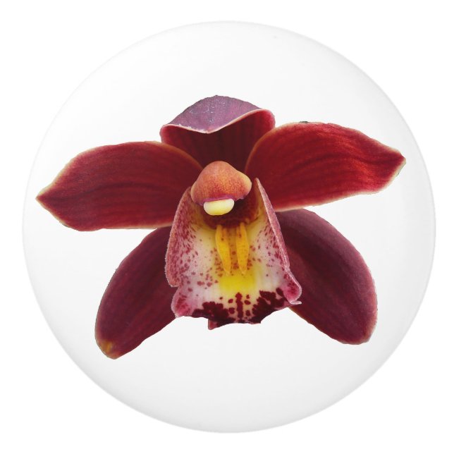 Maroon Orchids I Beautiful Red Floral Keramikknauf (Vorderseite)