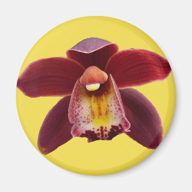 Maroon Orchids I Beautiful Red Floral Magnet (Vorne)