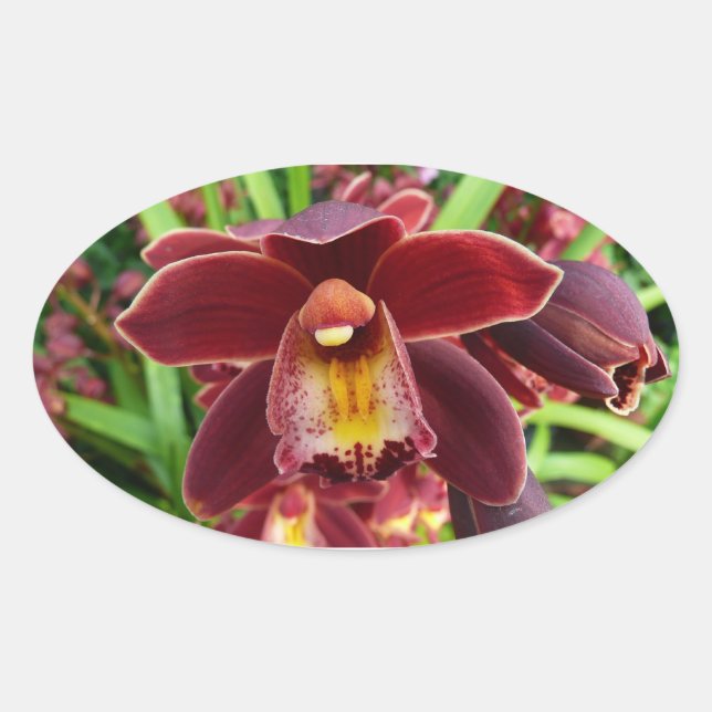 Maroon Orchids I Beautiful Red Floral Ovaler Aufkleber (Vorderseite)