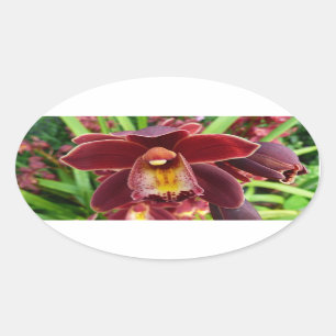 Maroon Orchids I Beautiful Red Floral Ovaler Aufkleber