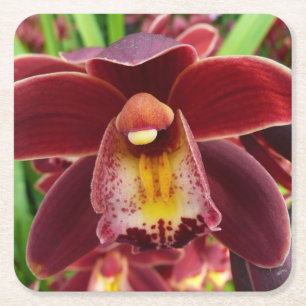 Maroon Orchids I Beautiful Red Floral Rechteckiger Pappuntersetzer