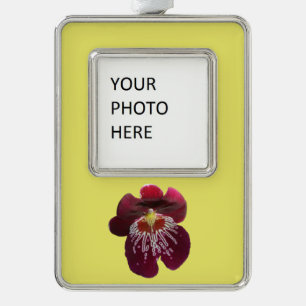 Maroon Orchids II Elegante Blumen Rahmen-Ornament Silber