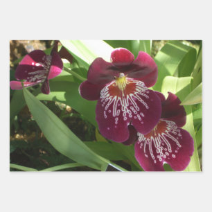 Maroon Orchids II Elegante Blüten Geschenkpapier Set
