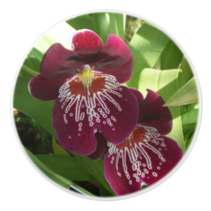 Maroon Orchids II Elegante Keramikknauf