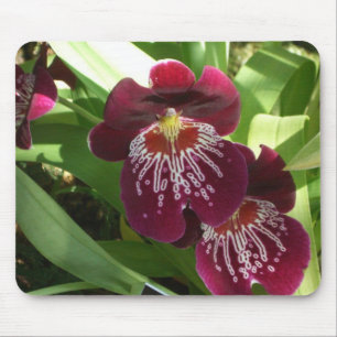 Maroon Orchids II Elegante Mousepad