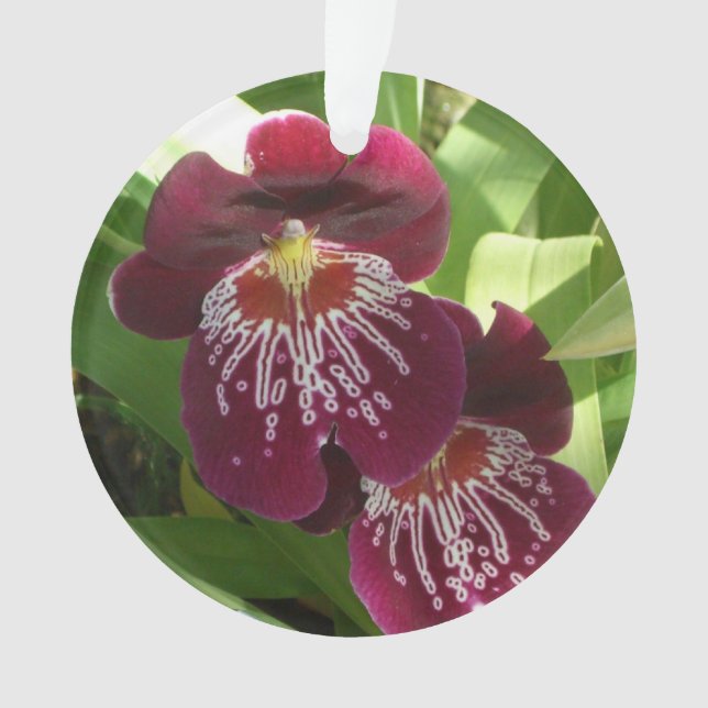 Maroon Orchids II Elegante Ornament (Vorderseite)