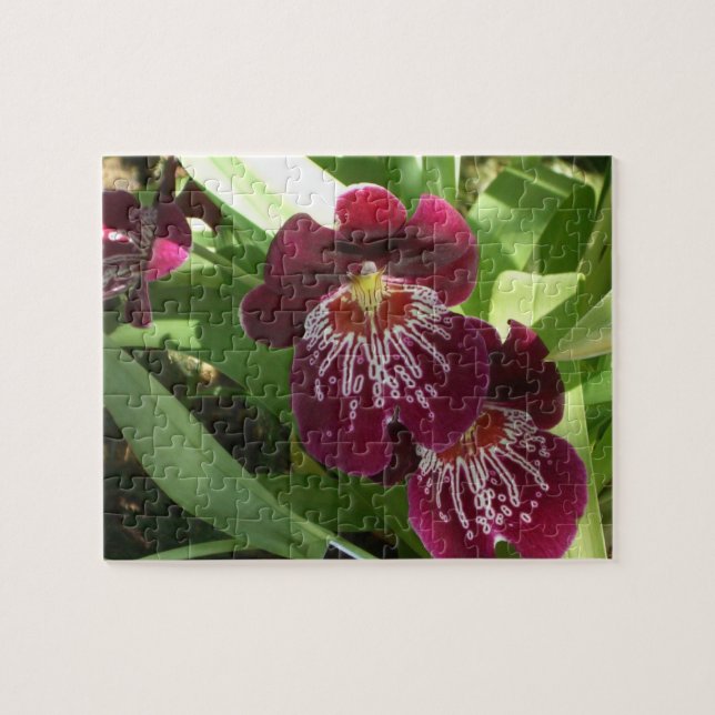 Maroon Orchids II Elegante Puzzle (Horizontal)