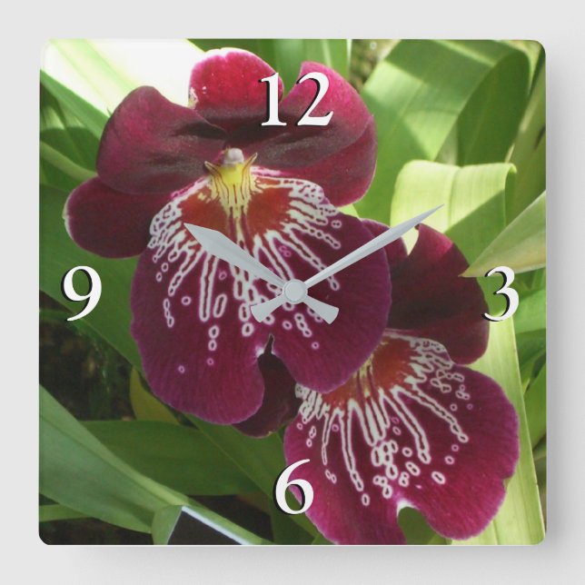 Maroon Orchids II Elegante Quadratische Wanduhr (Vorderseite)
