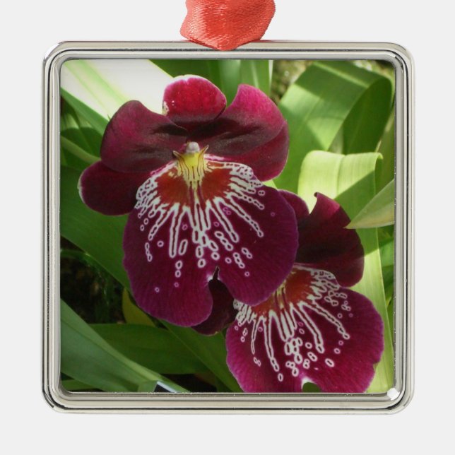 Maroon Orchids II Elegante Silbernes Ornament (Vorne)