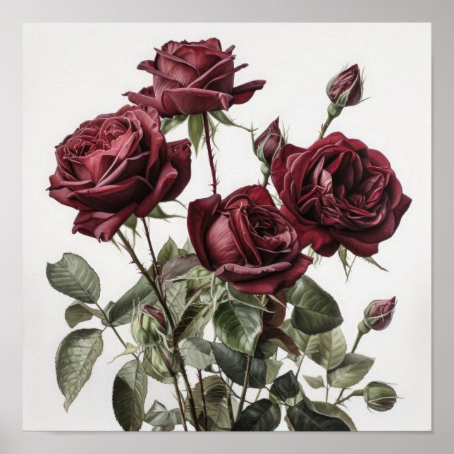 Maroon Rose Blume Art Print Poster (Vorne)