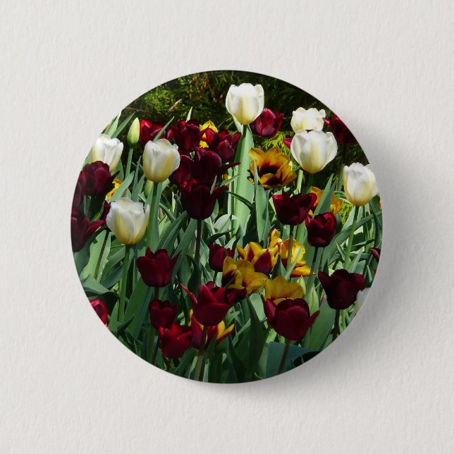 Maroon und Gelbe Tulips farbenfrohe Blumen Button (Vorderseite)