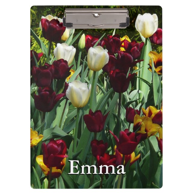 Maroon und Gelbe Tulips farbenfrohe Blumen Klemmbrett (Vorderseite)