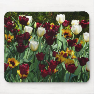 Maroon und Gelbe Tulips farbenfrohe Blumen Mousepad