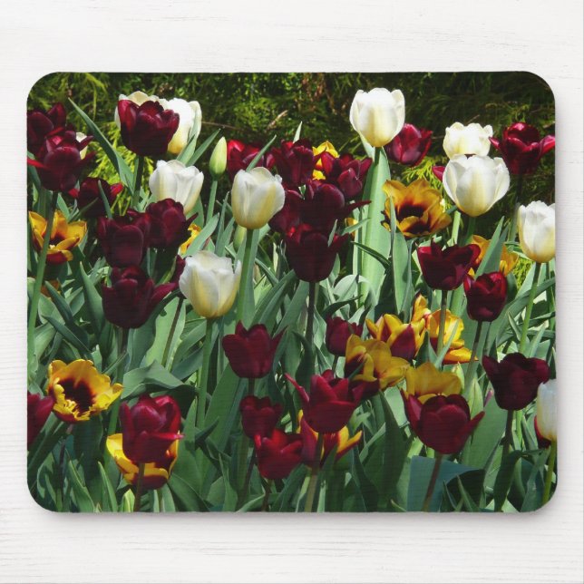 Maroon und Gelbe Tulips farbenfrohe Blumen Mousepad (Vorne)
