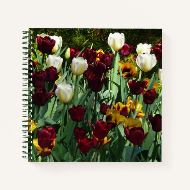 Maroon und Gelbe Tulips farbenfrohe Blumen Notizbuch (Vorderseite)