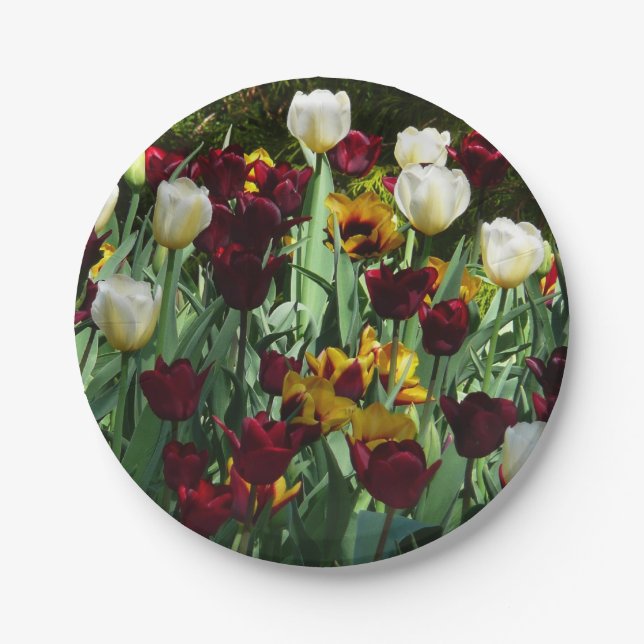 Maroon und Gelbe Tulips farbenfrohe Blumen Pappteller (Vorderseite)