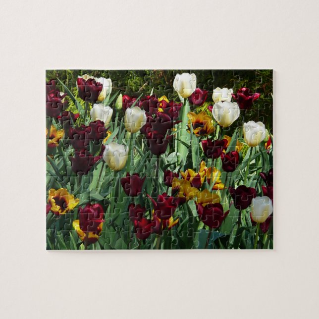Maroon und Gelbe Tulips farbenfrohe Blumen Puzzle (Horizontal)