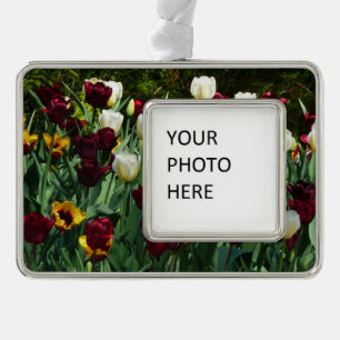 Maroon und Gelbe Tulips farbenfrohe Blumen Rahmen-Ornament Silber